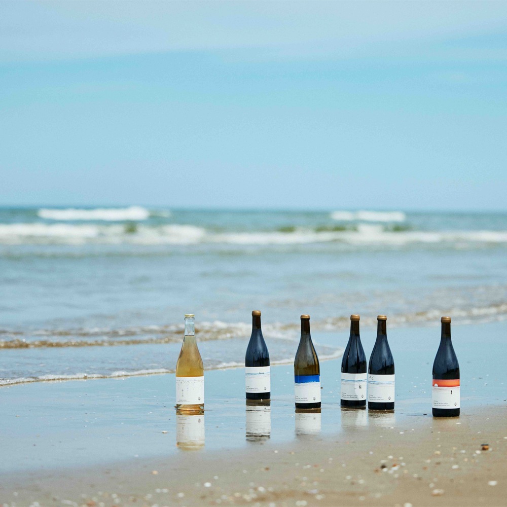 ≪いい道の駅 のと千里浜≫ITAYA Farm ヴィンテージワイン「カベルネ・ソーヴィニヨン 2023」【赤ワイン 能登 お取り寄せ】