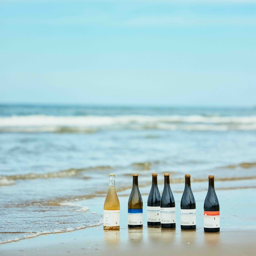 ≪いい道の駅 のと千里浜≫ITAYA Farm ヴィンテージワイン「カベルネ・ソーヴィニヨン 2023」【赤ワイン 能登 お取り寄せ】