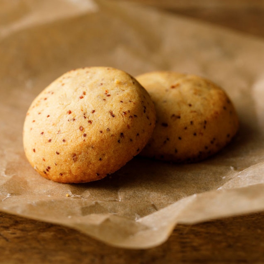 ≪あら与≫ ふぐの子サブレ 【石川の伝統食 発酵珍味菓子 禁断のグルメ ふぐの子 ワイン お酒 おつまみ】