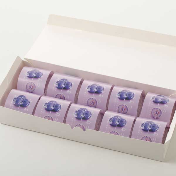 ≪和菓子処 中越≫ふんわりブルーベリー大福 10個入