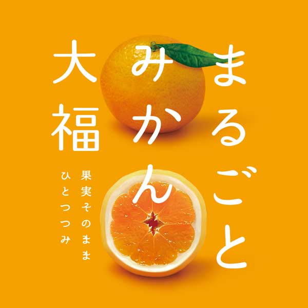≪和菓子処 中越≫まるごとみかん大福【金沢お土産 羽二重餅 白あん ギフト スイーツ フルーツ大福 バラ売り お取り寄せ 通販】