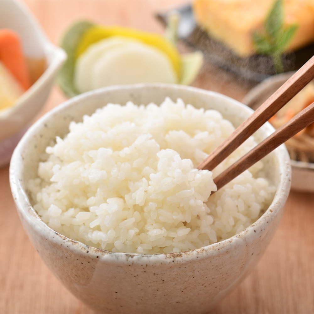 ≪いい道の駅 のと千里浜≫令和7年産新米 能登 羽咋市産 こしひかり 精米 3kg/10kg 【ブランド米 能登 里山里海 日本海 白米 寿司 おこわ リゾット お取り寄せ 旨味】