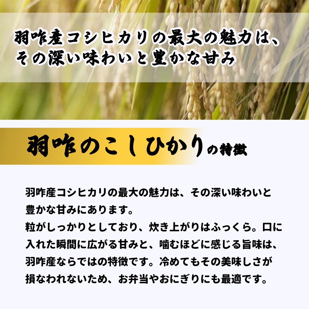 ≪いい道の駅 のと千里浜≫令和7年産新米 能登 羽咋市産 こしひかり 精米 3kg/10kg 【ブランド米 能登 里山里海 日本海 白米 寿司 おこわ リゾット お取り寄せ 旨味】