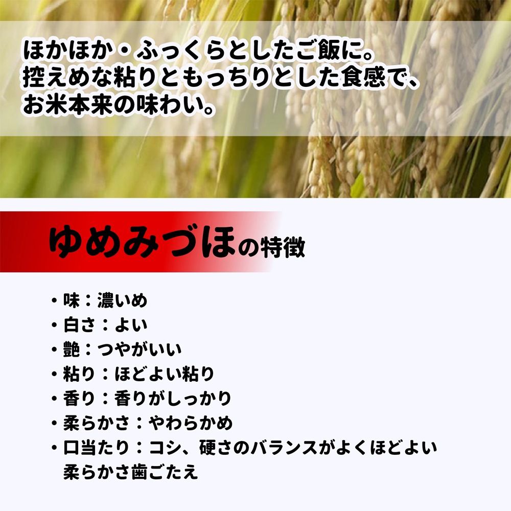 ≪いい道の駅 のと千里浜≫令和7年産新米 能登 羽咋市産 ゆめみづほ 精米 3kg／10kg【ブランド米 能登 里山里海 お取り寄せ 入手困難 ほかほか ふっくら もっちり】