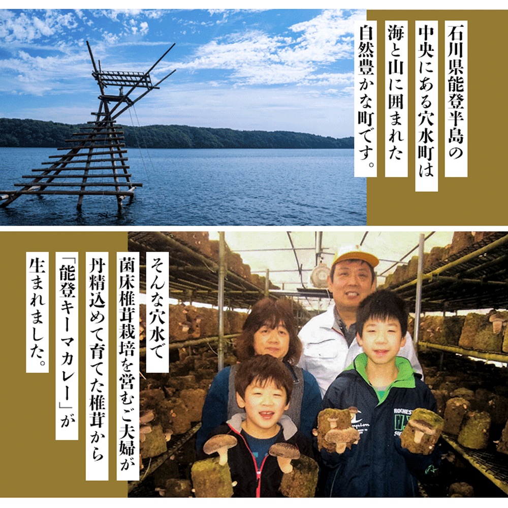 ≪金沢浅田屋≫六角堂キッチン能登キーマカレー【能登椎茸 能登豚】