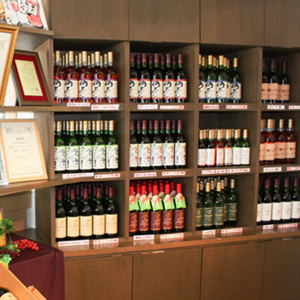 【能登半島地震で被災・復興応援】≪能登ワイン≫未来につなぐお買い物券