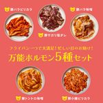 フライパン一つで大満足！忙しい日のお助け！万能ホルモン5種セット