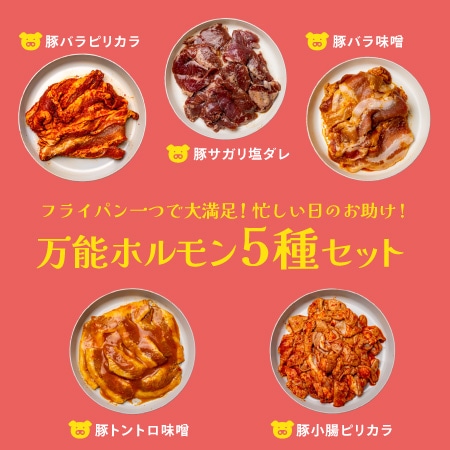 【父の日限定】フライパン一つで大満足！忙しい日のお助け！万能ホルモン5種セット