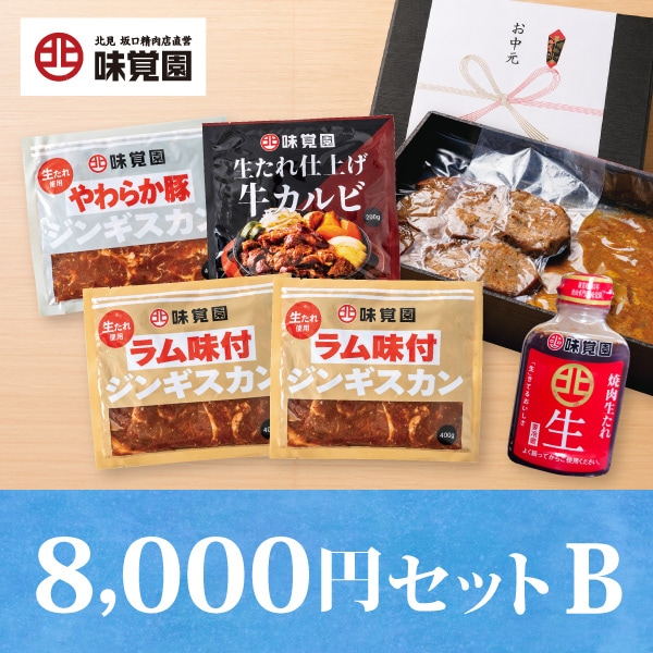 《お中元限定》8,000円セットB
