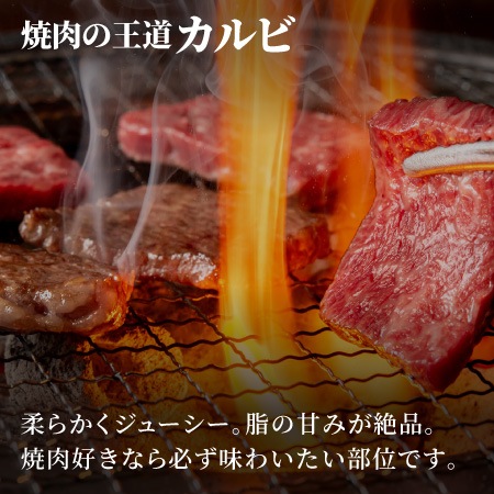 【味覚園】北海道焼肉セットB　６種食べ比べ（サガリ・ホルモン・カルビ）　500g