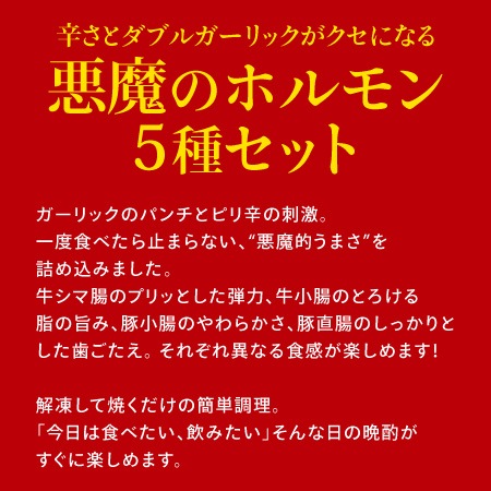 【父の日限定】辛さとダブルガーリックがクセになる！悪魔のホルモン5種セット