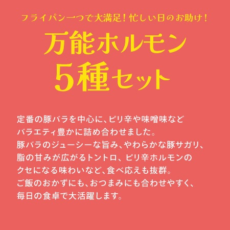 【父の日限定】フライパン一つで大満足！忙しい日のお助け！万能ホルモン5種セット