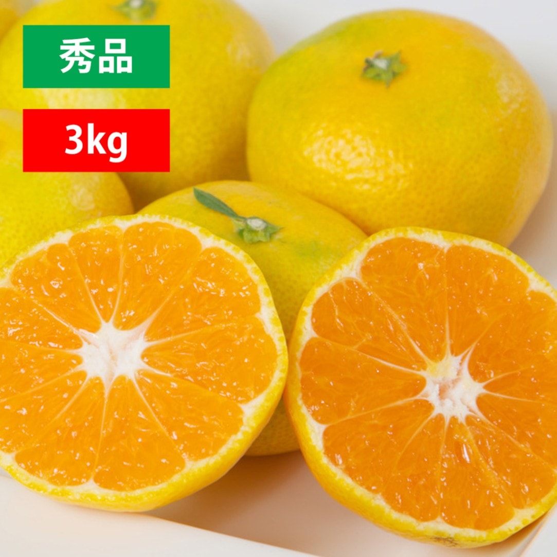 極早生みかん 秀品 3kg