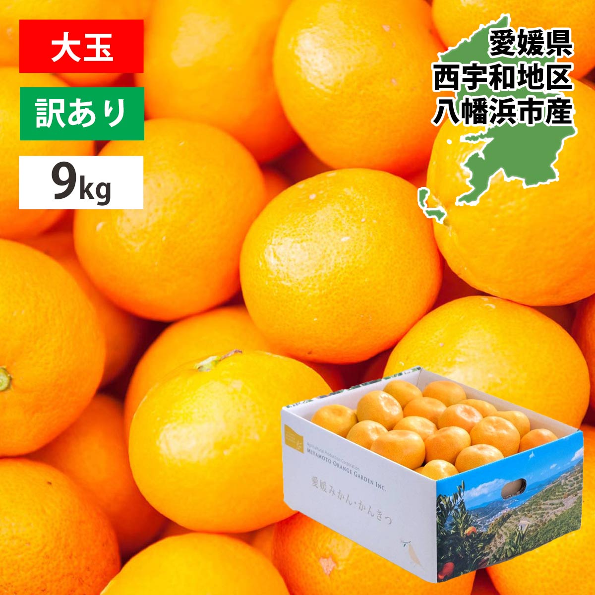 愛媛みかん 大玉 9kg