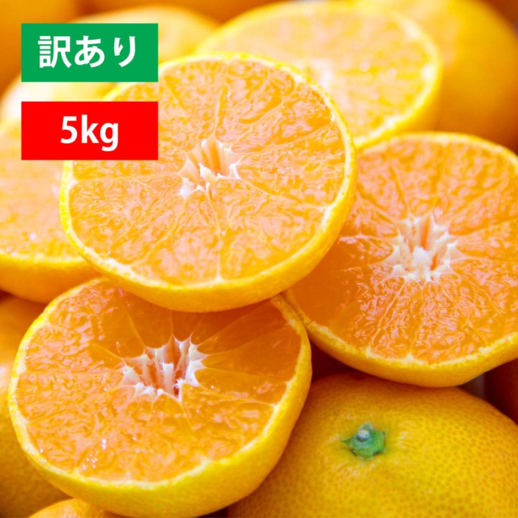 極早生みかん 訳あり５kg
