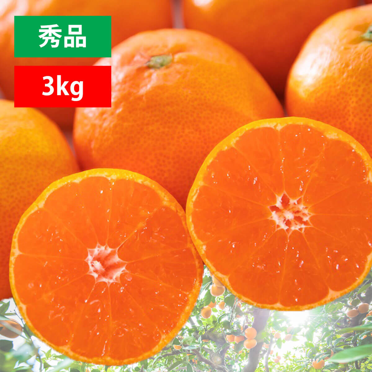 愛媛みかん 秀品 3kg