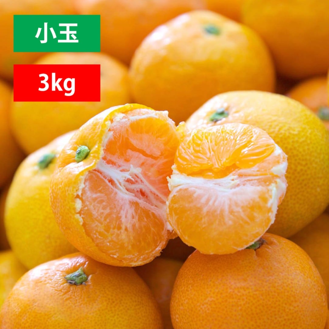 極早生みかん 小玉３kg