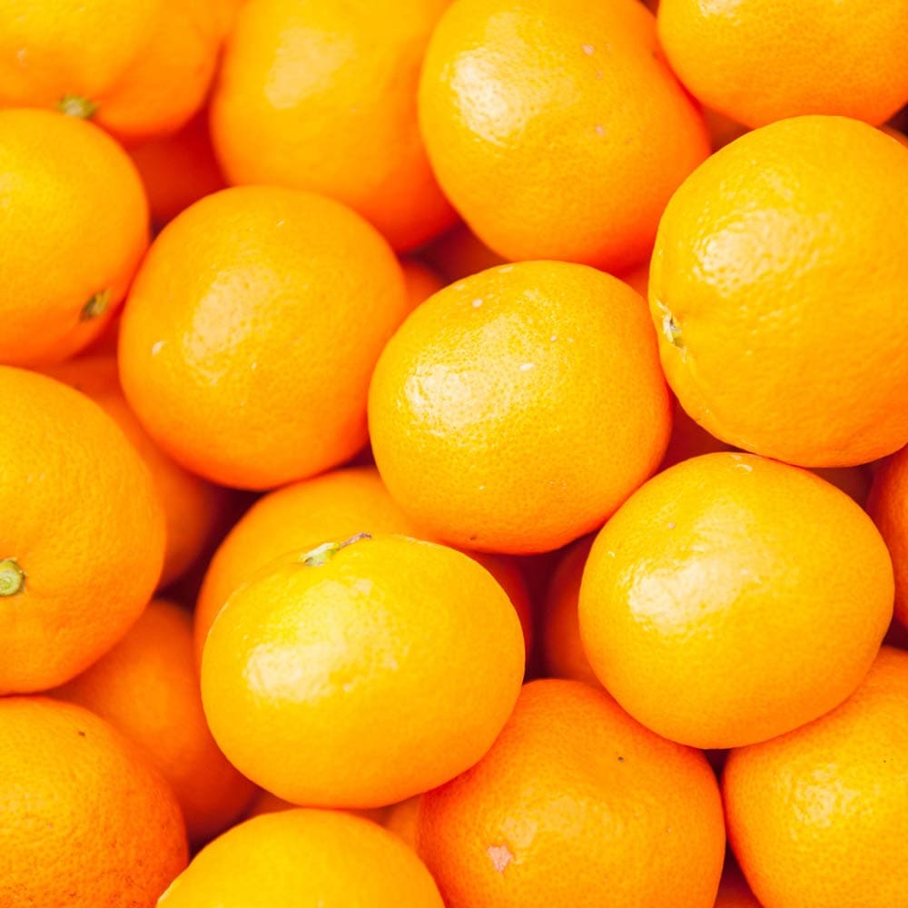 【予約】極早生みかん 大玉 5kg