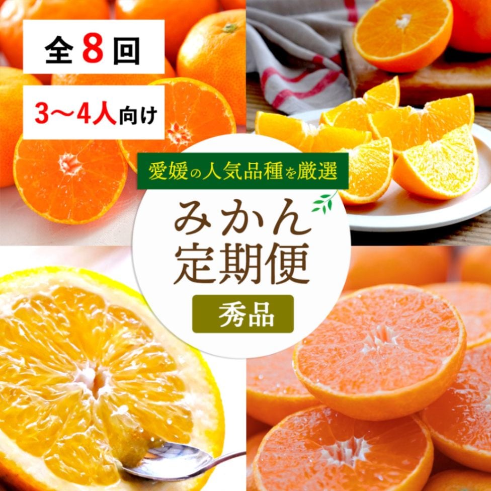 【全８回】ミヤモトオレンジガーデンの定期便(秀品)