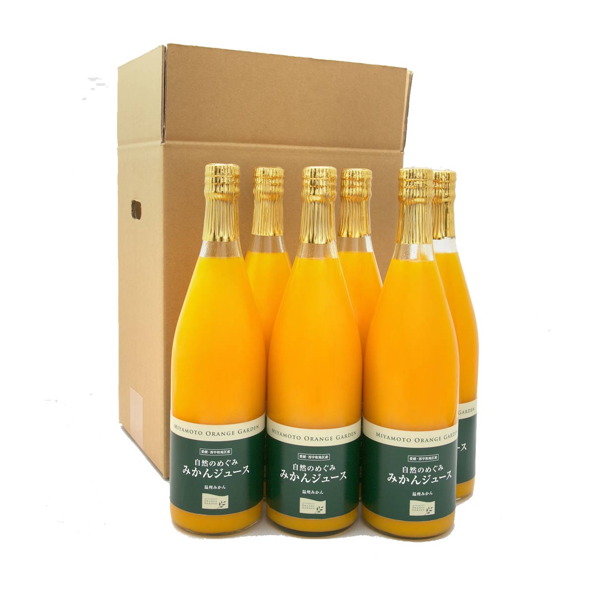 【法人】自然のめぐみ みかんジュース　780ml×6本入り