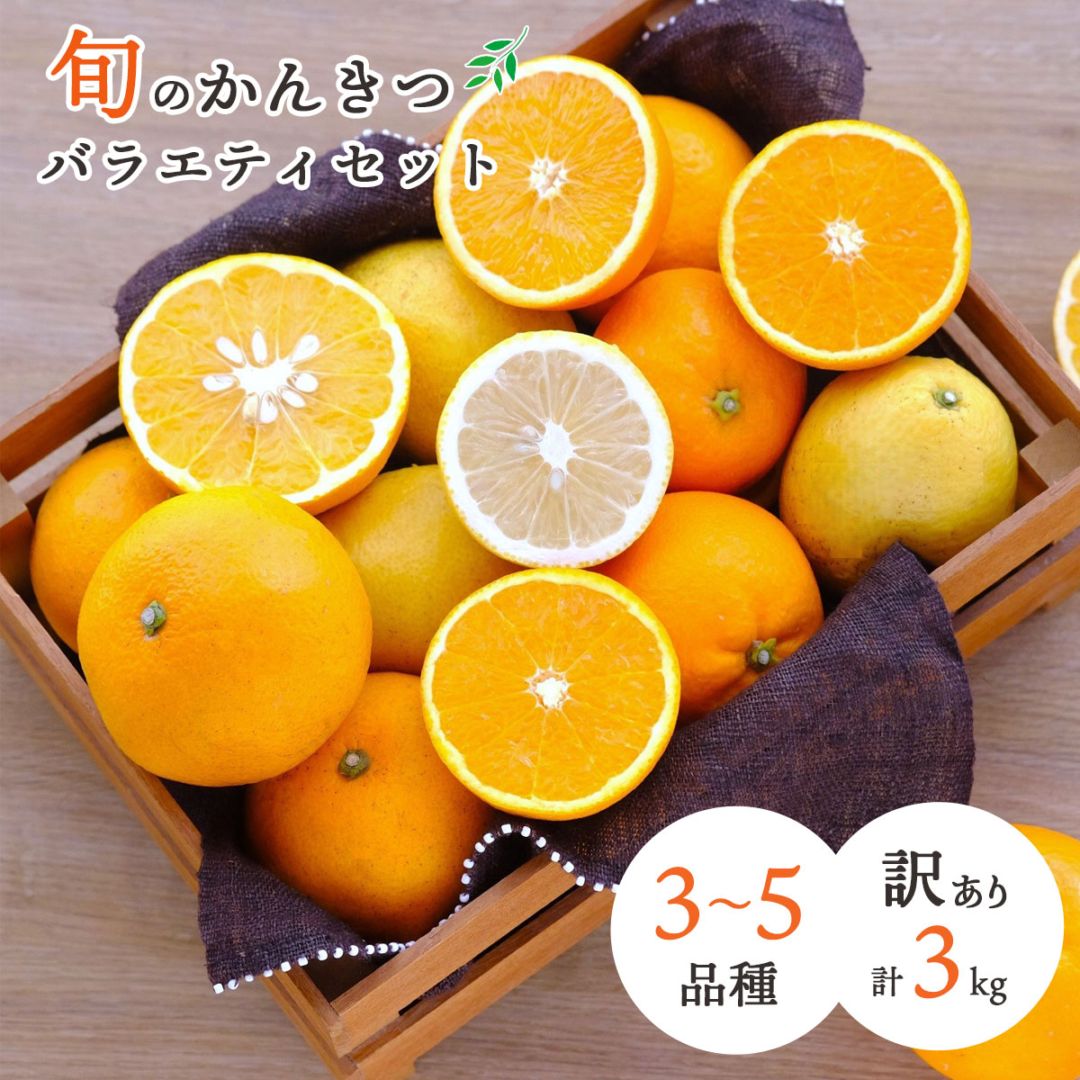 旬のかんきつ詰め合わせ バラエティセット 合計3kg