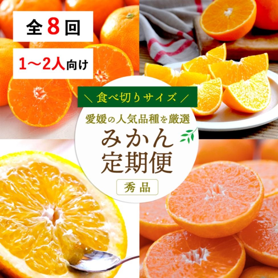【全８回】少量 食べ切りサイズ！お試しにもおすすめ みかん定期便(秀品) 1～2人向け