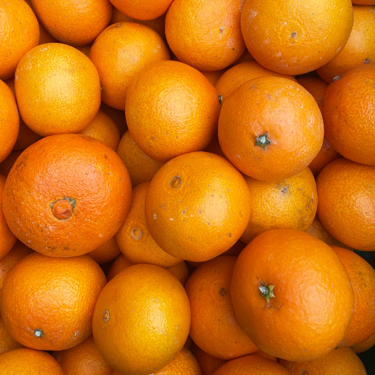 【数量限定再入荷】まごころまどんな 訳あり 2kg
