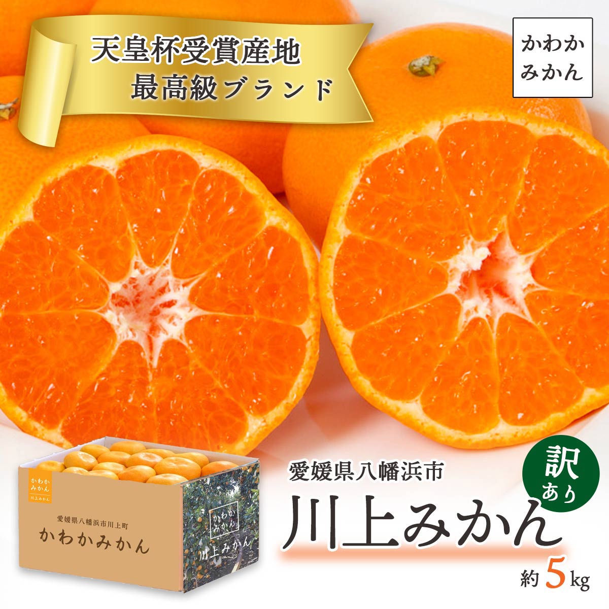 天皇杯受賞産地 川上みかん 訳あり5kg