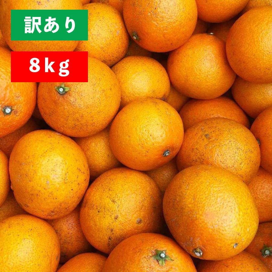 【数量限定】まごころまどんな 訳あり 8kg