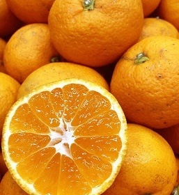 ͭ�������ߤ���ڣ�������