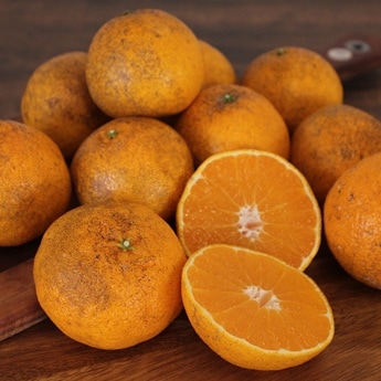 ��ž��������ۤʤ󤸤㤳��㡪ͭ�������ߤ��󣱣����