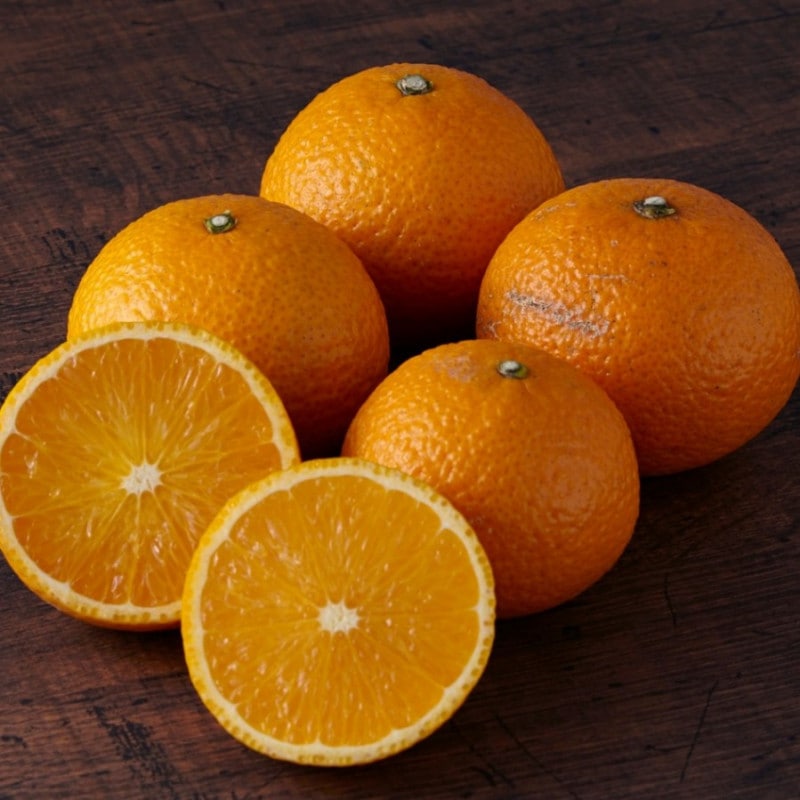 ͭ���������ȥ��ץ�󥰡ڣ�������