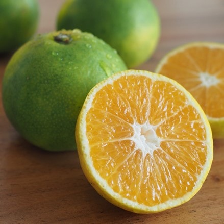 ͭ�������������ߤ���ڣ�������