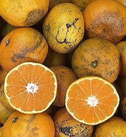 žۤʤ󤸤㤳㡪ͭߤ󣵣