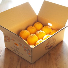 有機甘夏【4kg】