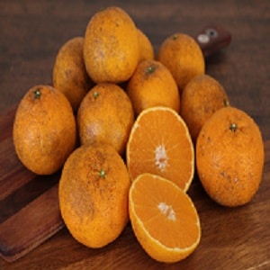 �ʤ󤸤㤳��㡪ͭ�����βХǥ��ڣ�������