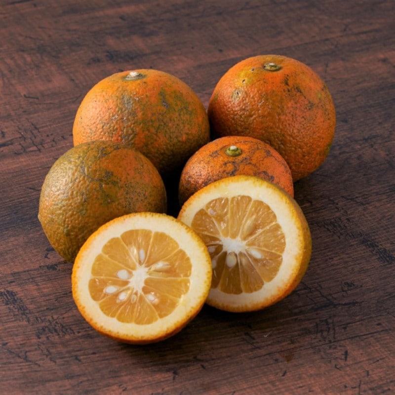 �ʤ󤸤㤳��㡪ͭ�����������ڣ�����