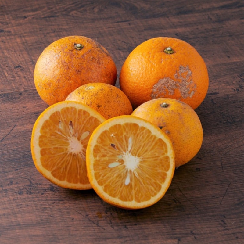 �ʤ󤸤㤳��㡪ͭ���Ϥä����ڣ�����