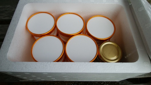 みかんみるくジェラートセット（10個入）