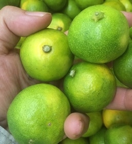 �ʤ󤸤㤳��㡪ͭ�������������ߤ��󾮶̡ڣ�������