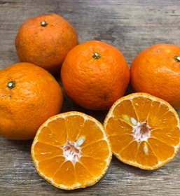 �ʤ󤸤㤳��㡪������ƥ��󣵣���ž���������