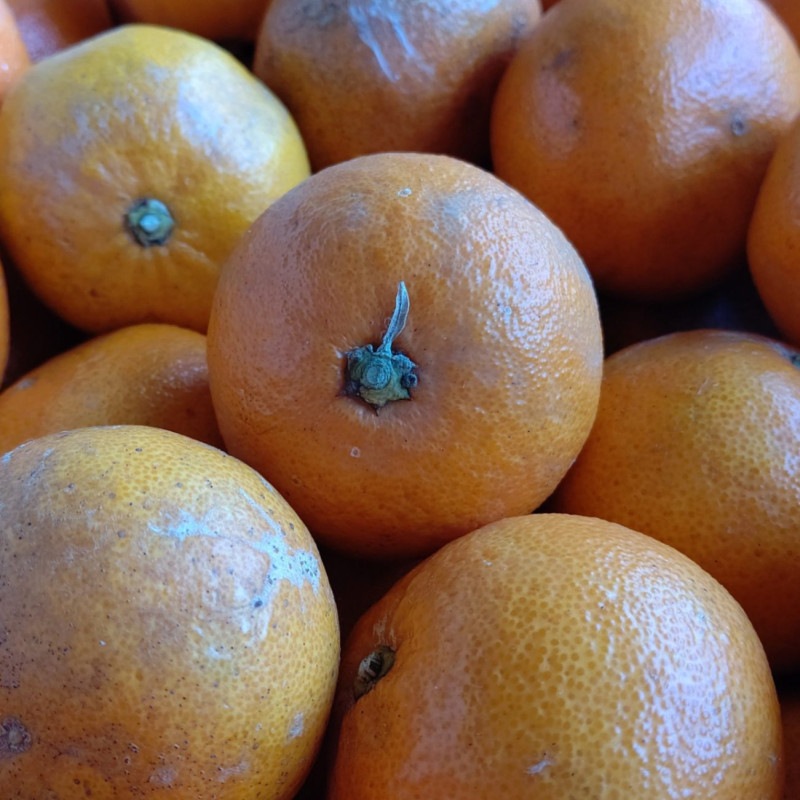 ��ž��������ۤʤ󤸤㤳��㡪����ޥ����󣵣��