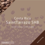 コスタリカ セントタラス SHB 100g
