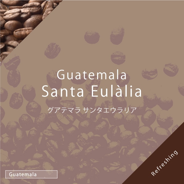 グアテマラ サンタエウラリア 100g | 量り売りコーヒー豆 | 【コーヒー