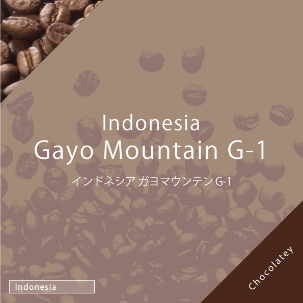 インドネシア ガヨマウンテン G-1 100g | 量り売りコーヒー豆