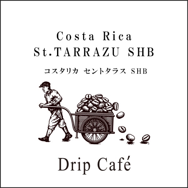 Mikiya ワンドリップカフェ コスタリカ セントタラスSHB