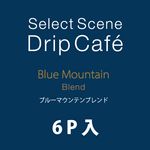 쥯ȥɥåץե֥롼ޥƥ֥(6P ñ)