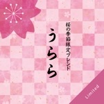 桜の季節限定ブレンド「うらら」 100g