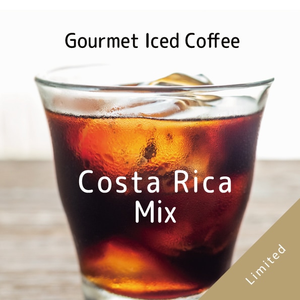 グルメアイスコーヒー コスタリカMIX 100g
