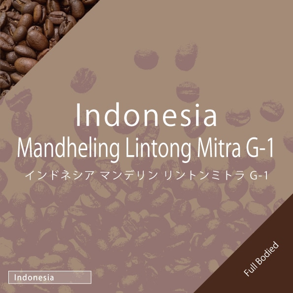 インドネシア マンデリン リントンミトラ G-1 　100g
